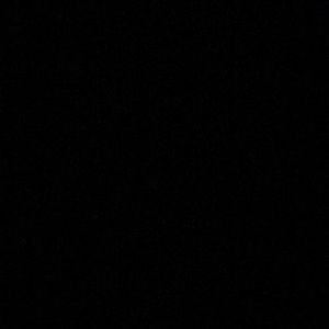 Meet your Posher, Rose